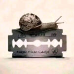 a snail on a razor blade